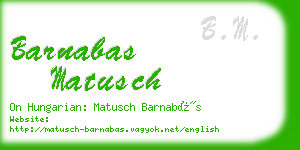 barnabas matusch business card